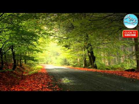 Fraţii de la Toflea - Sa nu vi-se tulbure inima