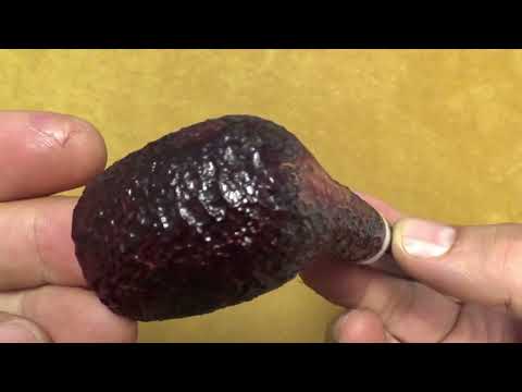 Pipa Savinelli St. Nicholas 2023 - 106 - filtro 9mm