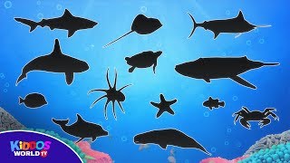Learn Sea Animal Names - Ocean Animal Videos - Sea