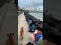 Couples At Marine Drive Mumbai Lover S Point Kissing Eatch Others Lovestatus Couplegoals