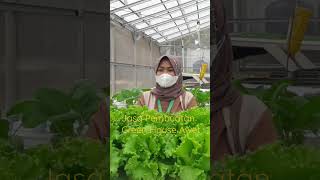 Download lagu Jasa Pembuatan Green House Baja Ringan Awet Bergaransi mp3