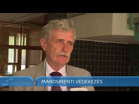 Közös árvízi védekezés a Maroson - Szegedi Hírek - 2018.07.10.