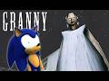 Sonic Plays GRANNY