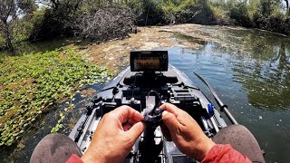 Fishing skinny backwaters (New confidence bait)