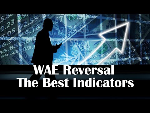 Profitable Trading Indicators | Waddah Attar Explosion Reversal Indicator Testing