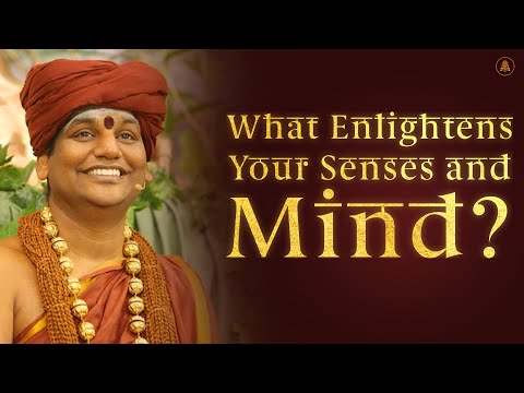 What Enlightens Your Senses and Mind? | Nithyananda Satsang | 19 Mar 2015