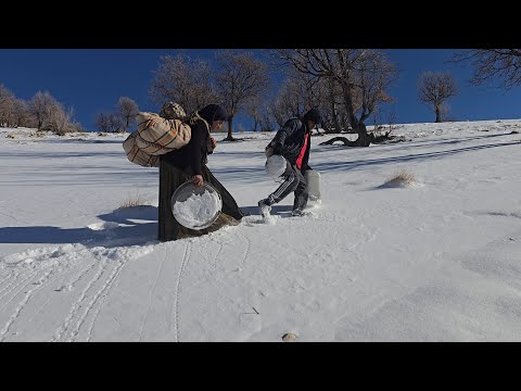 Seeking refuge: The footprints of a mother and young son in a frozen mountain