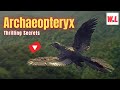 Archaeopteryx: Awesome Secrets From The Hidden Fossil Record