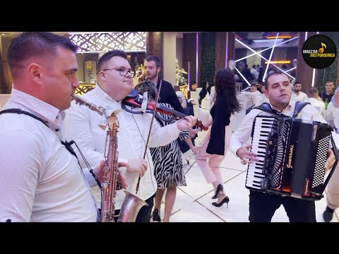 Orkestar Joce Porodinca - Brzi splet kola za igru Kragujevac 🔊 ✔