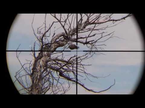 1322 New Scope Cam Shot Compilation