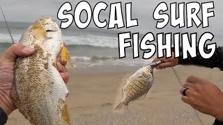 Everyone Caught Fish! [SoCal Surf Fishing]