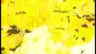 DBZ Dry Kill Logic - Nightmare