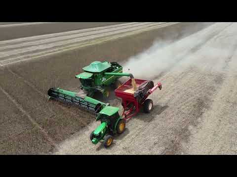 Colheita de soja em Pontalina Goiás 