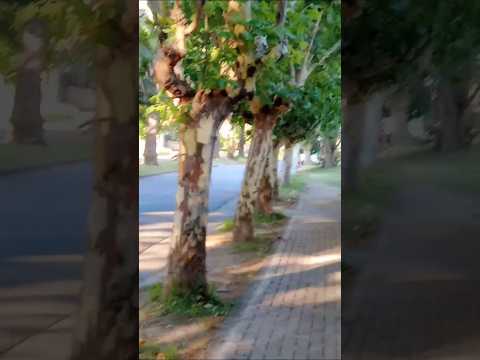 La Falda, Punilla, Córdoba, Argentina.#lafalda