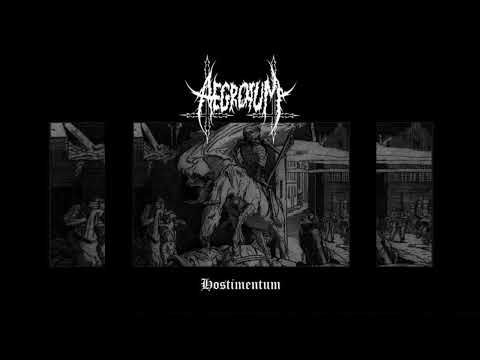 AEGROTUM - HOSTIMENTUM - FULL COMPILATION 2012