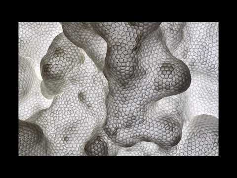 Evol Waves feat. Eva Kade - Where Are You Going (Original Mix)