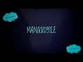 Manikkuyile Malayalam Song School Anniversary Swathi Tunes