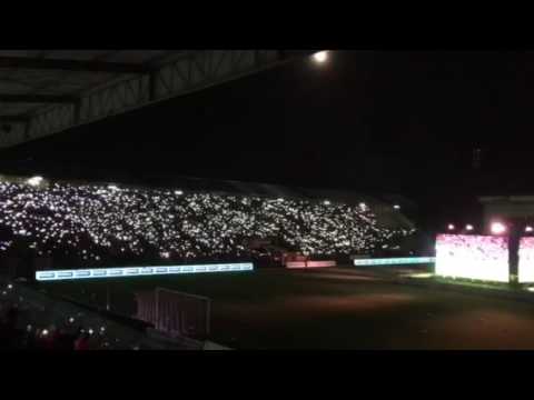 RAFC de lichtjes van den bosuil