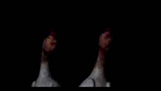 Christmas Chickens Caroling