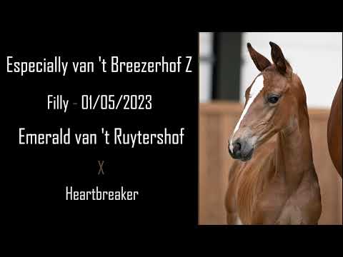 Especially van 't Breezerhof Z