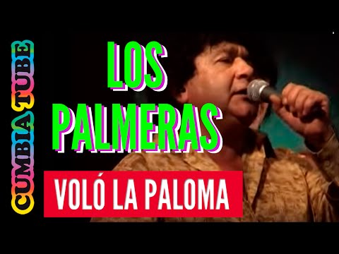 Los Palmeras - Voló la paloma