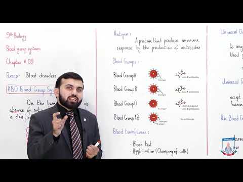 Class 9 - Biology - Chapter 9 - Lecture 9 Blood Group System - Allied Schools