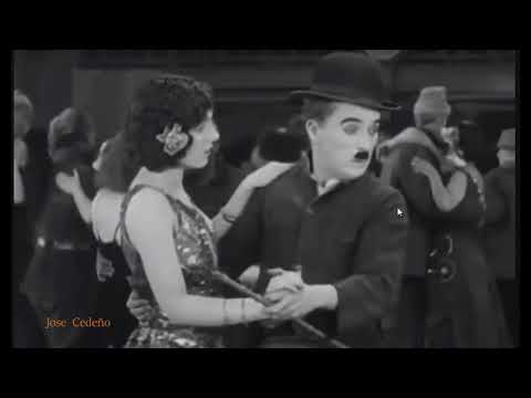 Cadela baia  { Mano  Lima   }