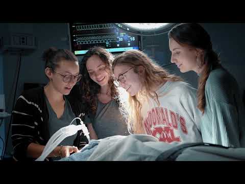 Uf Health Bridge