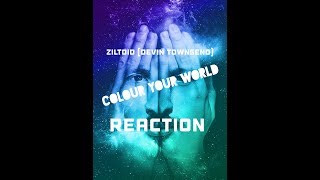 Ziltoid (Devin Townsend) - “Colour Your World” REACTION