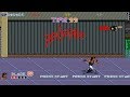 Double Dragon Gaiden PC