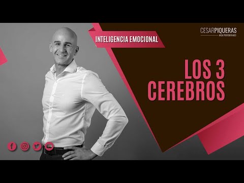Los 3 cerebros | Inteligencia emocional | César Piqueras