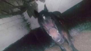 this wont be our last goodbye