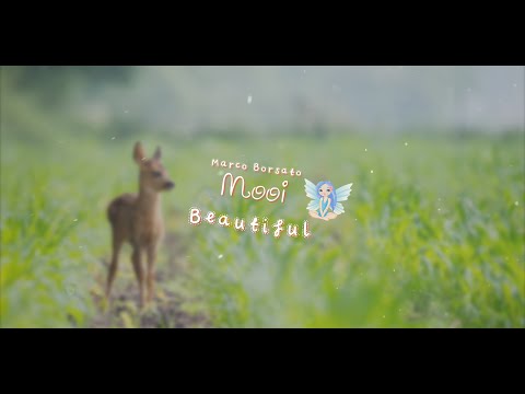 Marco Borsato - Mooi with Fairy Lyrics 🌺