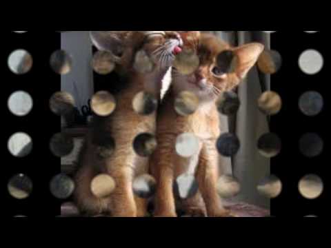 Ahto Juhkam , Ära võta kätt mu peost