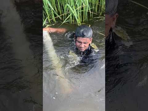 Amazing river fishing #shorts