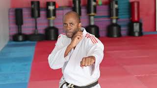 Houston Shotokan Karate