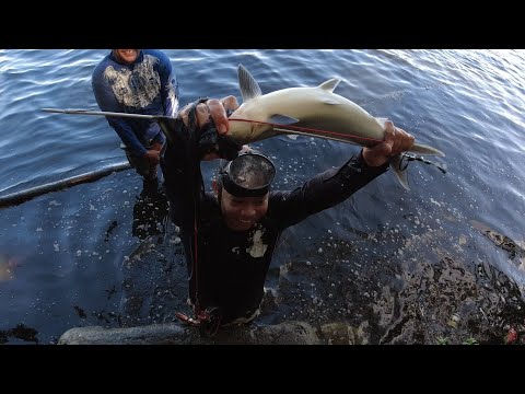 SE02EP118 Part 2 - DUONG ng Mga NAG LALAKIHANG BANGUS sa SAMPALOC Lake PINAGKAGULUHAN