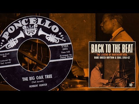 Herbert Hunter "The Big Oak Tree"