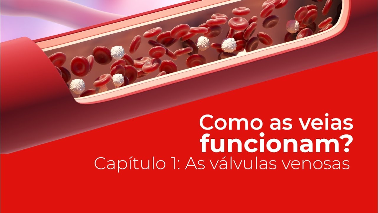 Como as veias funcionam? | Capítulo 1: As válvulas venosas