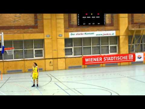 Flying Foxes Post Wien-Baschet Club ICIM Arad