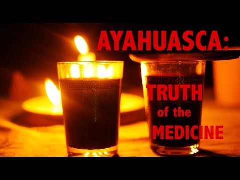Ayahuasca: Sacred Medicine of the Amazon