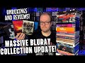 A MASSIVE Bluray And 4K Collection UPDATE 3 MONTHS In The Making MVD 88 Films And MORE