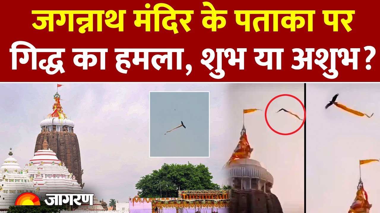Puri Jagannath Temple Flag: जगन्नाथ मंदिर के पताका पर गिद्ध का हमला, शुभ या अशुभ? Hindi News