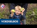 Kinderopvang in de natuur: 'Vrijheid om dingen te ontdekken'