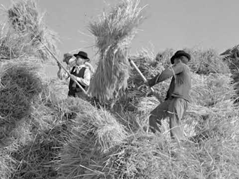 Nos Campos do Alentejo