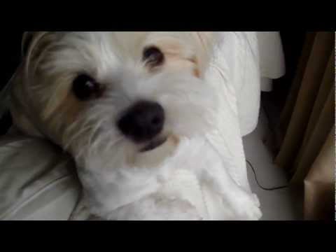 Offbeat Agents - Please Rewind  (Home Video Edit)