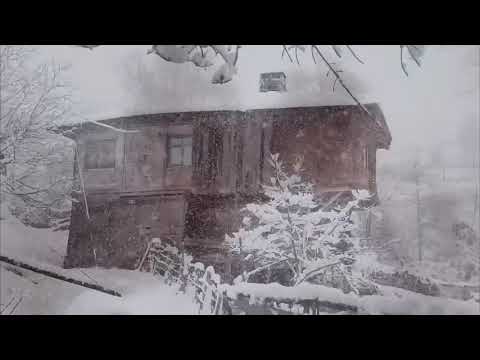 Ayşe Şewaqî - Nîve Şevê | Video 2025