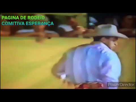 EDSON AVELINO V& TOURO TIRA DENTE.