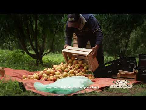 🌱Aquí Crecemos Juntos - Productores de Cooperativa Agroindustrial Colmena Asuncena Ltda., Paraguarí
