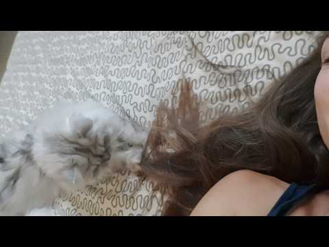 The struggles of having long hair